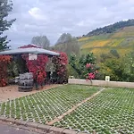 Apartmán Casa Moselle-royal Koeniglich Urlauben Im Moseltal Reil