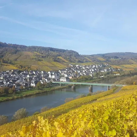 Casa Moselle-royal Koeniglich Urlauben Im Moseltal * Reil
