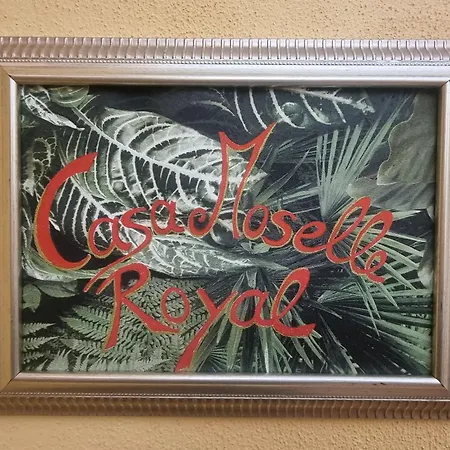 Lägenhet Casa Moselle-Royal Koeniglich Urlauben Im Moseltal Reil