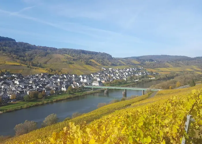 Casa Moselle-Royal Koeniglich Urlauben Im Moseltal * Reil