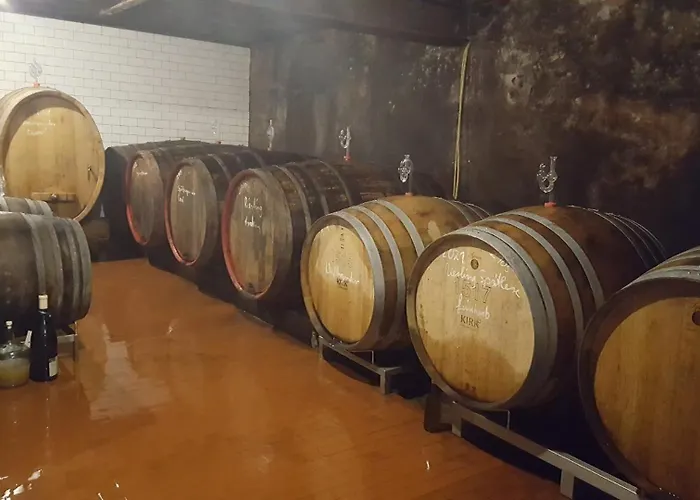 Casa Moselle-Royal Koeniglich Urlauben Im Moseltal Lägenhet Reil