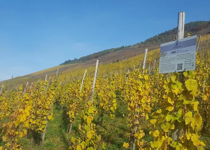 דירה Casa Moselle-royal Koeniglich Urlauben Im Moseltal רייל