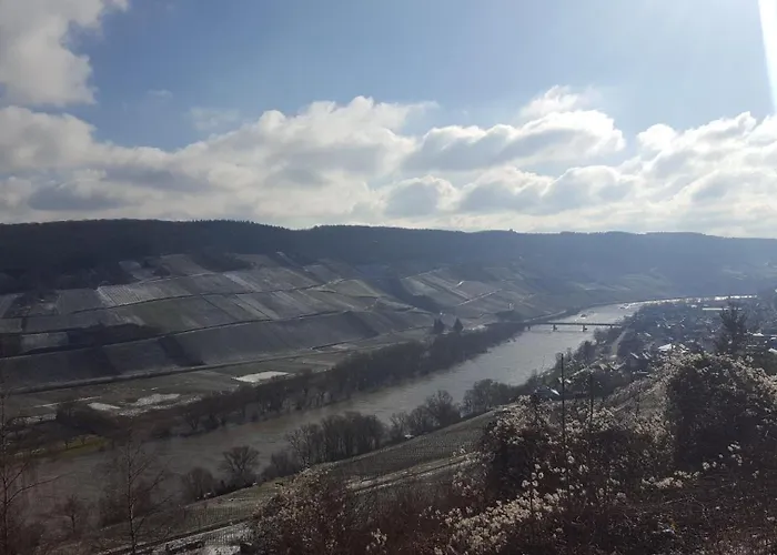 Casa Moselle-Royal Koeniglich Urlauben Im Moseltal * Reil