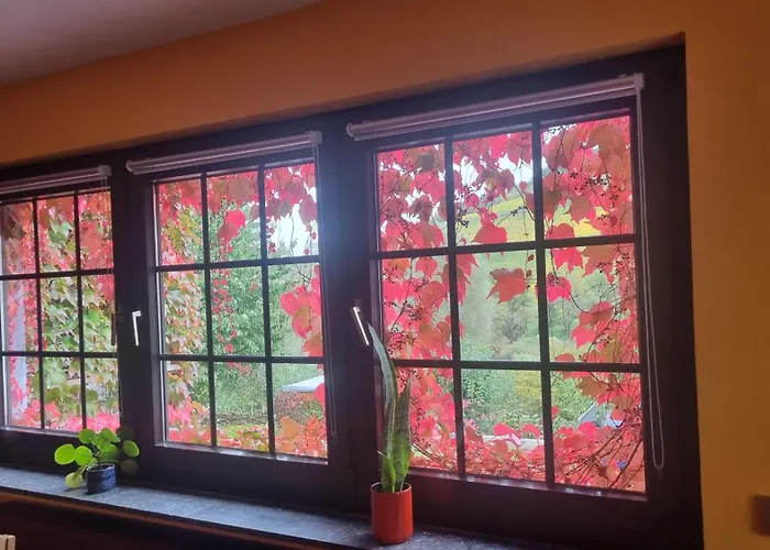 Casa Moselle-royal Koeniglich Urlauben Im Moseltal *