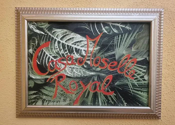 Lägenhet Casa Moselle-Royal Koeniglich Urlauben Im Moseltal Reil