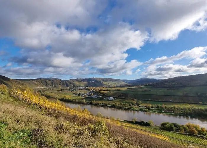 דירה Casa Moselle-royal Koeniglich Urlauben Im Moseltal רייל